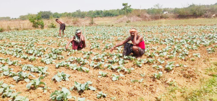 बिजली बंद होने से किसान परेशान