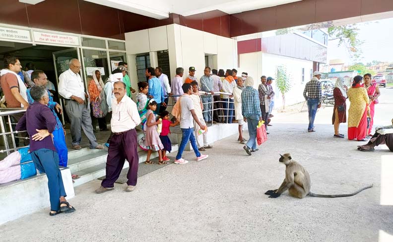 कलेक्टर जनदर्शन में पहुंचा बंदर... कलेक्टर जनदर्शन में पहुंचा बंदर...