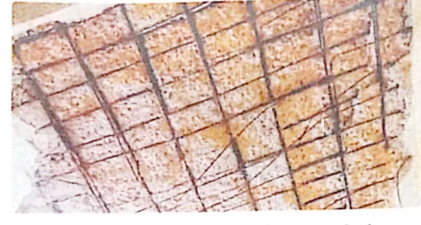 छत का प्लास्टर गिरा, बाल-बाल बचे पुलिसकर्मी छत का प्लास्टर गिरा, बाल-बाल बचे पुलिसकर्मी