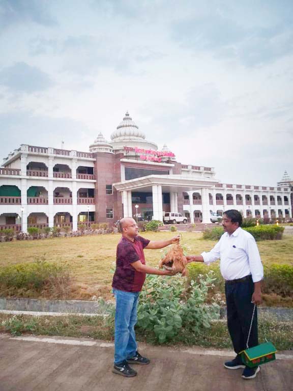 पक्षियों के संरक्षण के लिए वन विभाग ने बनाया घोसला पक्षियों के संरक्षण के लिए वन विभाग ने बनाया घोसला