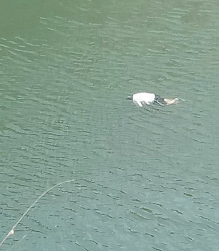 क्रशर प्लांट के मालिक की लाश उसी के प्लांट में मिली, जांच जारी