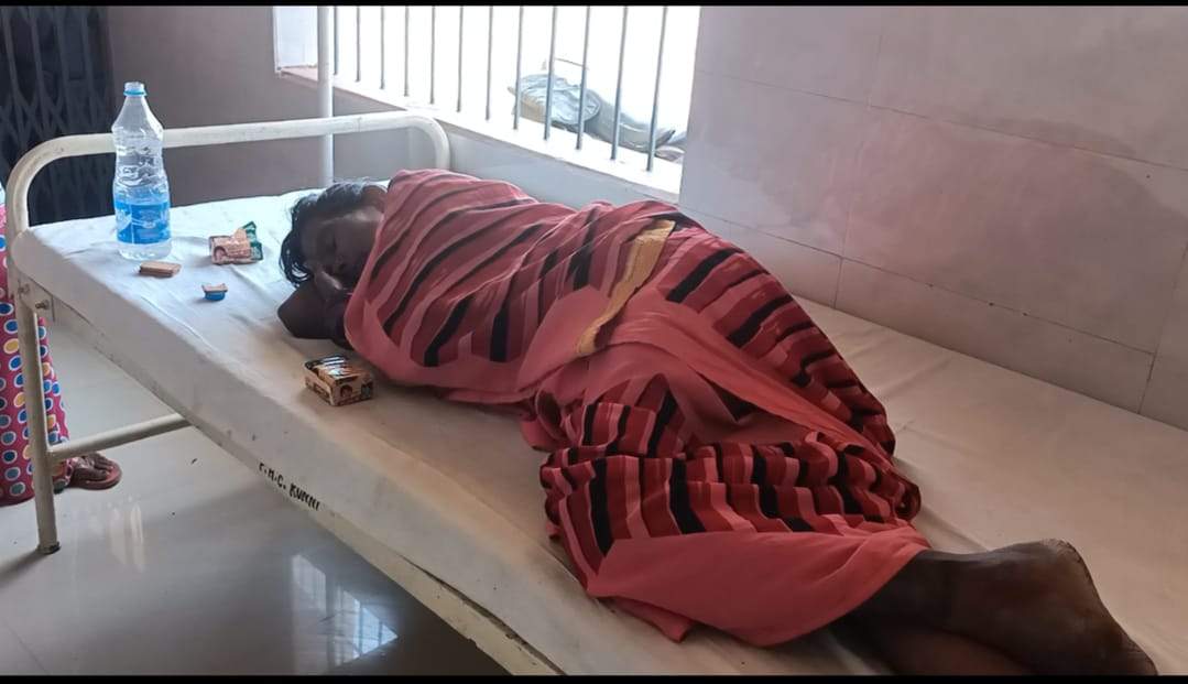 तेंदूपत्ता तोड़ते ग्रामीणों पर मधुमक्खियों का हमला, 2 महिला घायल