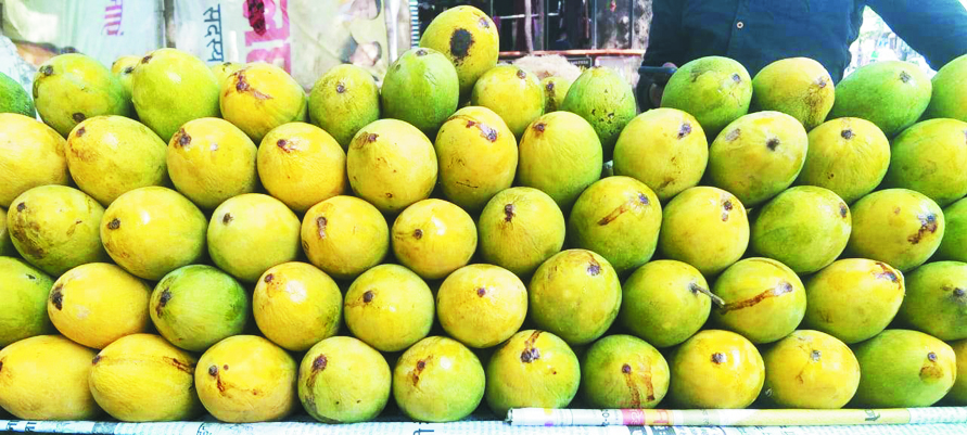 बाजार में दशेरी आम की महक