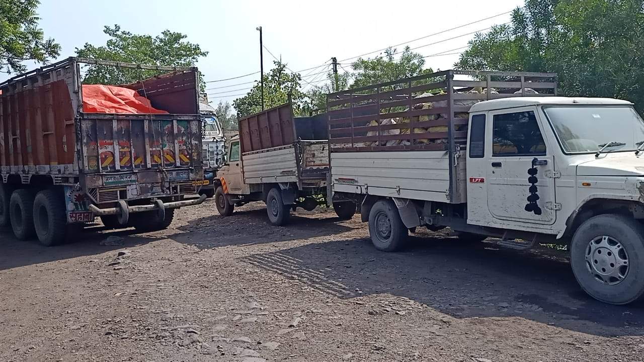 कोयले का अवैध परिवहन 4 ट्रक और 2 पिकअप जब्त