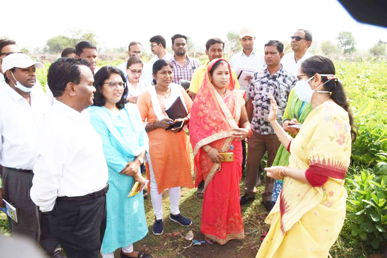 प्रभारी सचिव धमतरी पहुंचीं, खेत में घुसकर देखी सब्जी की फसल, मनरेगा काम का निरीक्षण