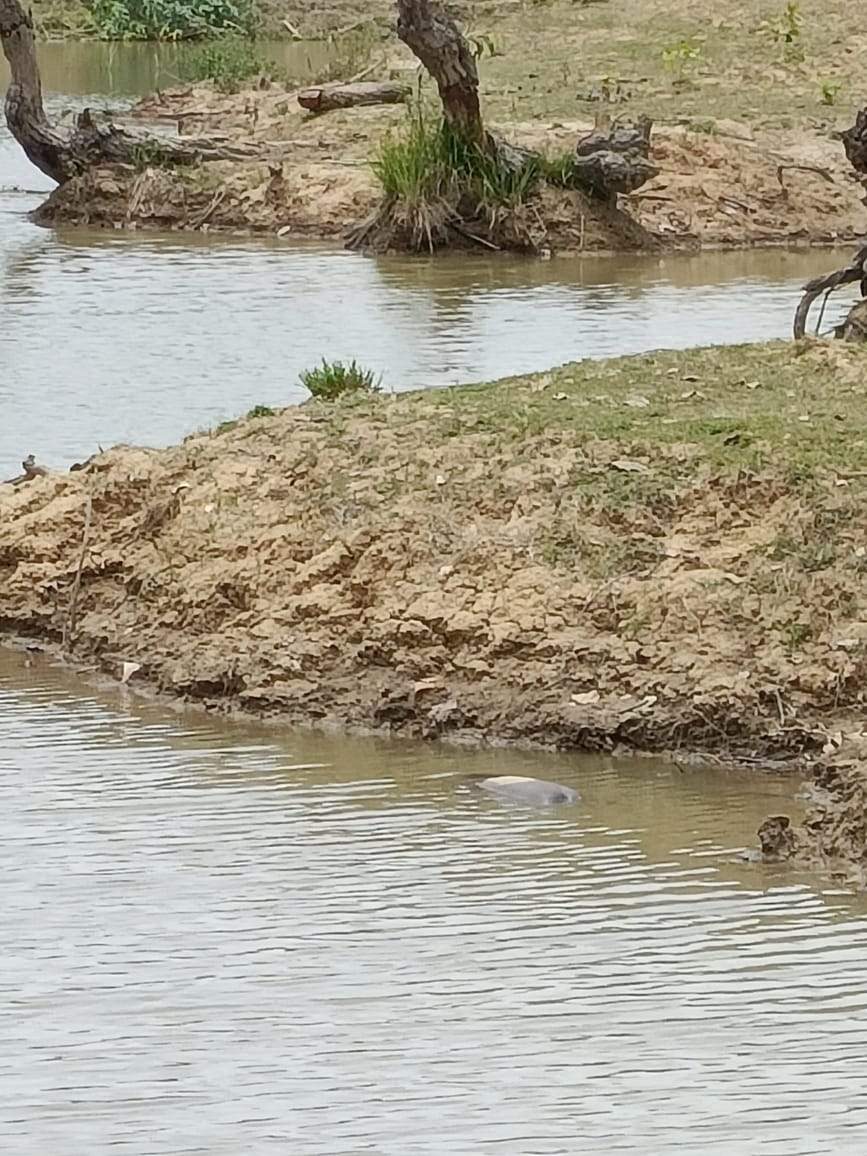 बांध में डूबने से दो बहनों की मौत