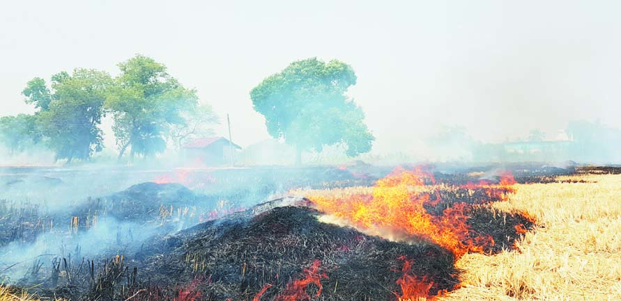 खेत में पराली जलाकर छोड़ा, 4 किमी क्षेत्र में फैली, पर्यावरण हो रहा प्रदूषित