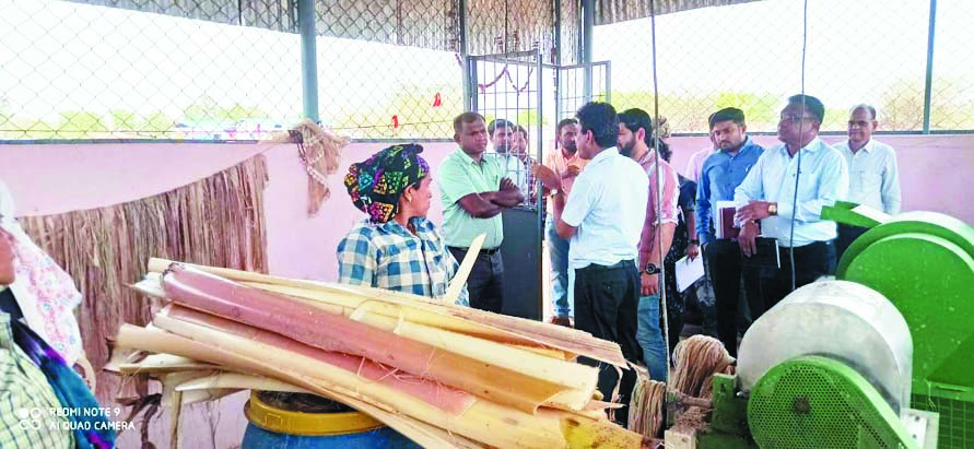केला तना रेशा से बना दरवाजा पर्दा एवं फाइल कवर का उपयोग करने एपीसी ने जारी किए निर्देश