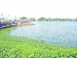 तालाबों के पैठू पर अस्तित्व का संकट तालाबों के पैठू पर अस्तित्व का संकट