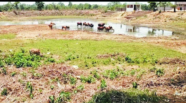 रावनभाठा तालाब सूखा, जानकारी मिलते ही विधायक के निर्देश पर पदाधिकारियों ने जानी वार्डवासियों से समस्या रावनभाठा तालाब सूखा, जानकारी मिलते ही विधायक के निर्देश पर पदाधिकारियों ने जानी वार्डवासियों से समस्या