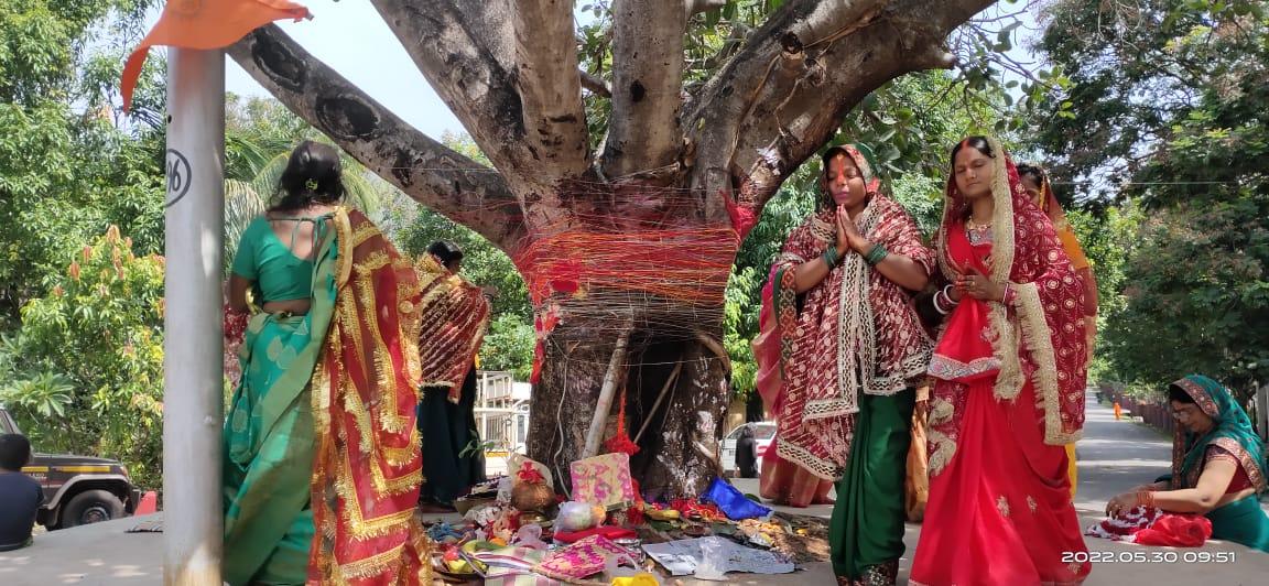 पति की दीर्घायु के लिए रखा वट सावित्री व्रत