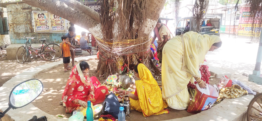 महिलाओं ने रखा वट सावित्री व्रत महिलाओं ने रखा वट सावित्री व्रत