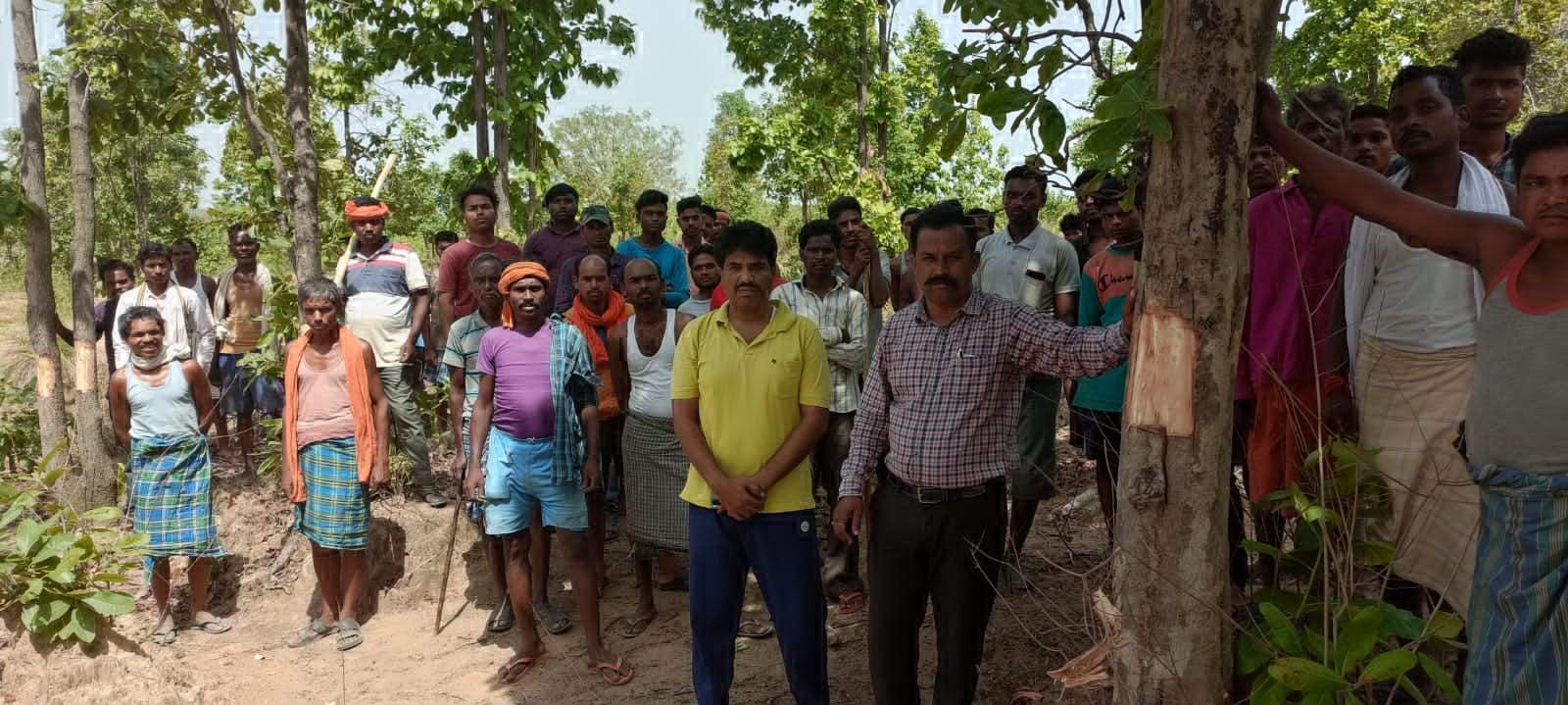 कोयला खदान के लिए अधिग्रहित क्षेत्र के पौधों की गिनती शुरू