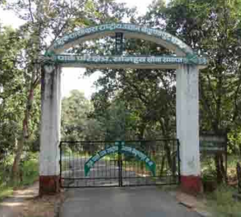 गुरू घासीदास उद्यान में भीषण आग और गैर जरूरी विकास कार्यों ने वन्य जीवों के लिए खतरे की घंटी बजा दी गुरू घासीदास उद्यान में भीषण आग और गैर जरूरी विकास कार्यों ने वन्य जीवों के लिए खतरे की घंटी बजा दी