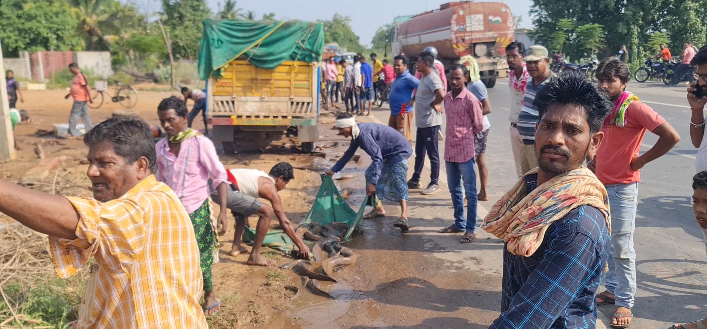 मछलियों से भरी पिकअप अनियंत्रित होकर पलटी, लूटने के लिए लगी भीड़ मछलियों से भरी पिकअप अनियंत्रित होकर पलटी, लूटने के लिए लगी भीड़