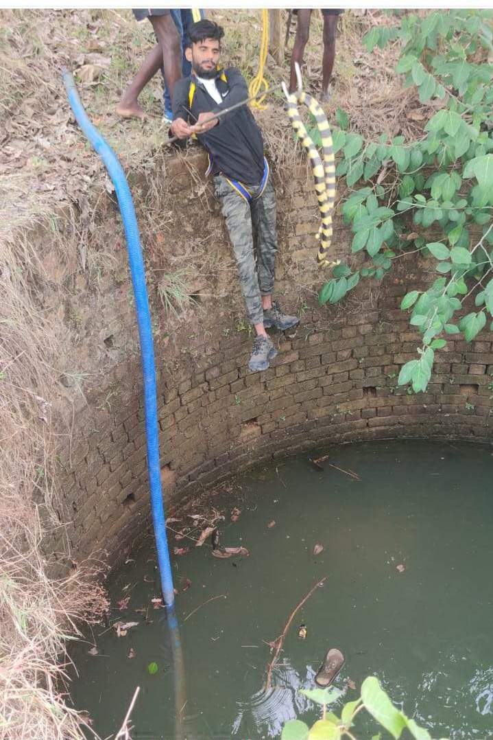 कुएं में गिरे सांप को बचाया