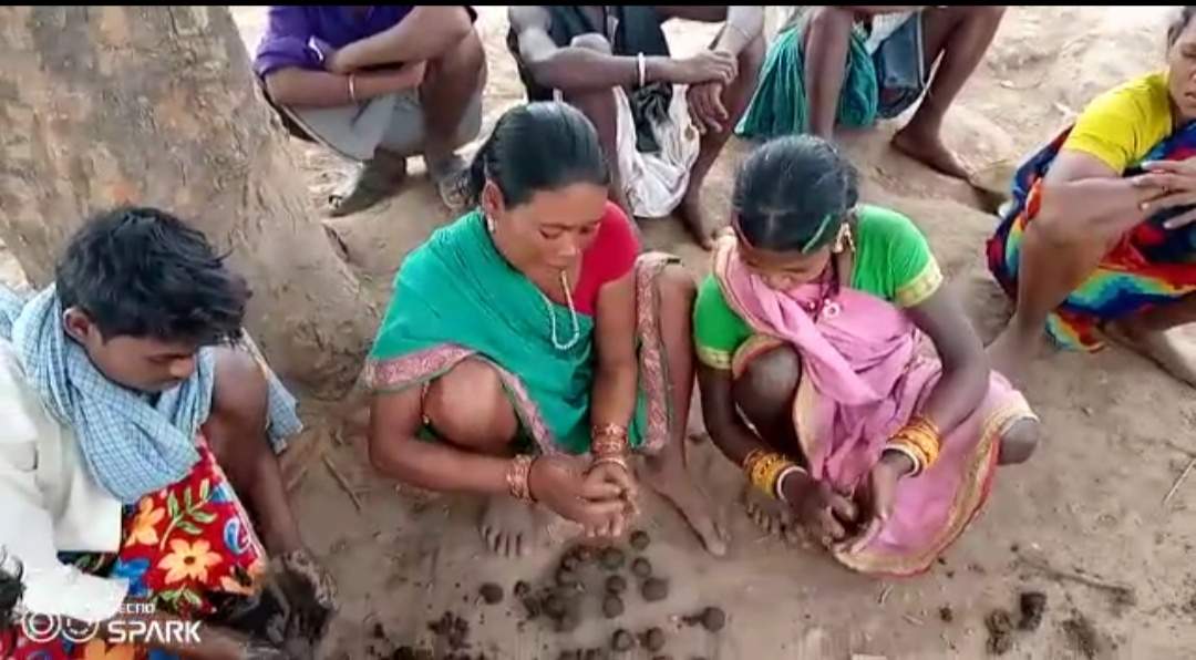 पर्यावरण संरक्षण के लिए बैगा जनजाति के लोग बना रहे हैं सीड बॉल पर्यावरण संरक्षण के लिए बैगा जनजाति के लोग बना रहे हैं सीड बॉल