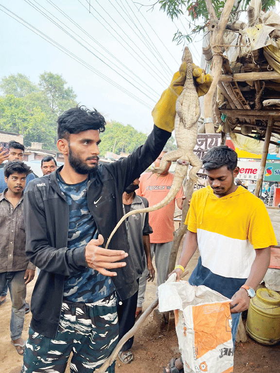 शहर में फिर निकला गोह, सत्यम ने बचाया शहर में फिर निकला गोह, सत्यम ने बचाया