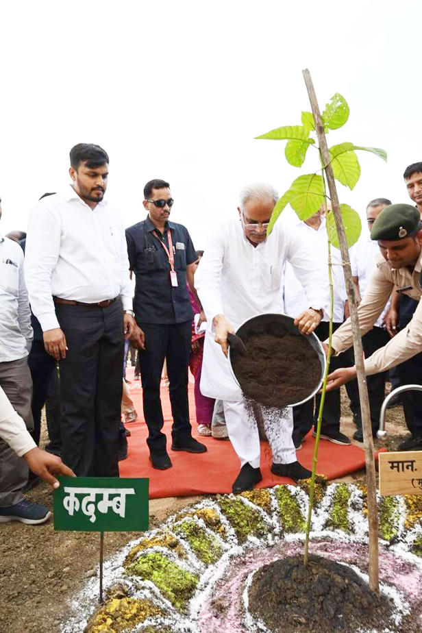 हाईटेक नर्सरी से बड़े पैमाने पर पौधे उगाए जा सकेंगे, इससे पौधरोपण को मिलेगा बढ़ावा- भूपेश
