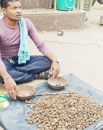 बाजार में सरई बोड़ा, आठ सौ रु. किलो