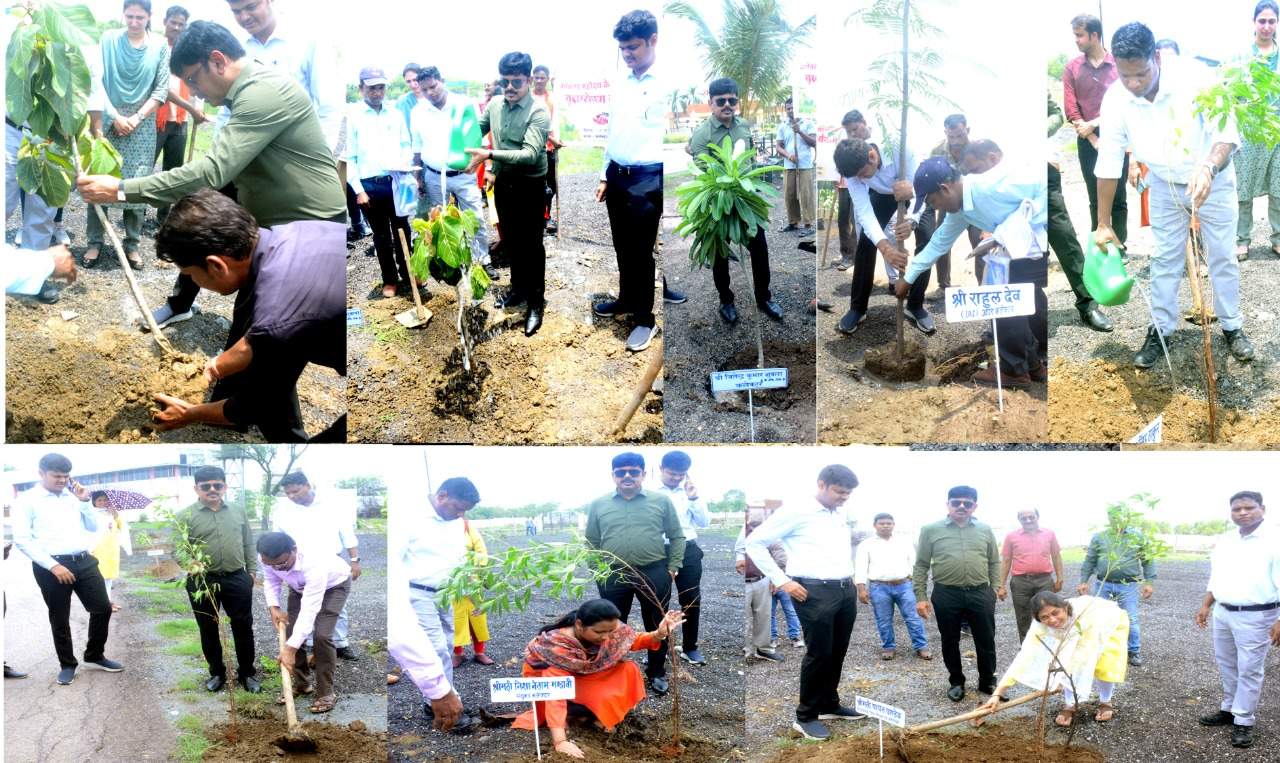 कलेक्टर, एडीएम सहित अधिकारियों ने लगाए पौधे