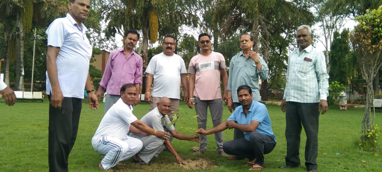 भामाशाह साहू सद्भाव समिति ने किया पौधरोपण भामाशाह साहू सद्भाव समिति ने किया पौधरोपण