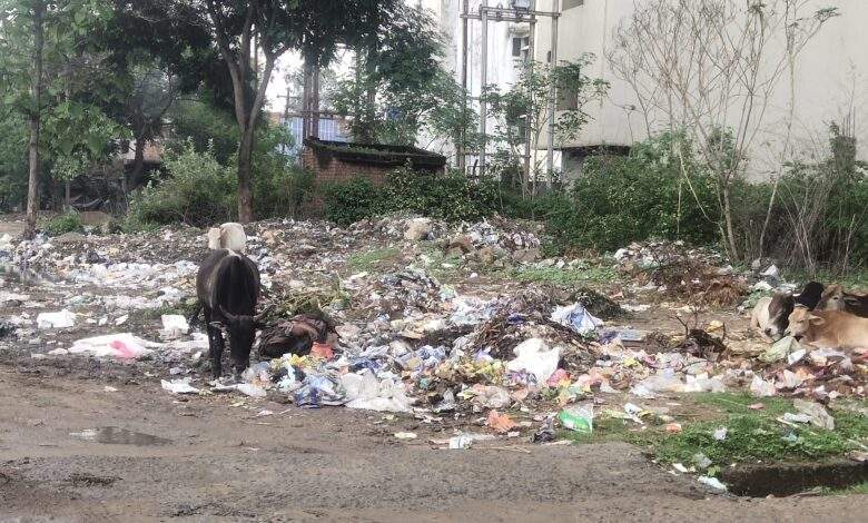 प्रतिबंध के बाद भी बिक रहे प्लास्टिक गिलास, थैली प्रतिबंध के बाद भी बिक रहे प्लास्टिक गिलास, थैली
