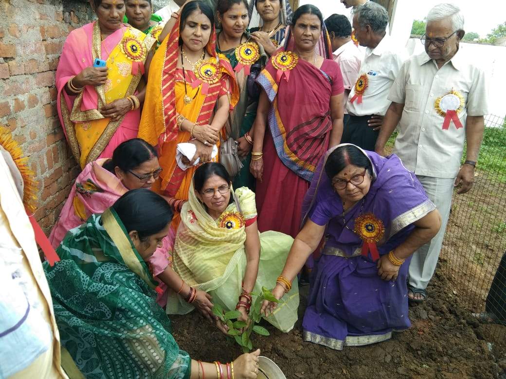 युवाओं ने रोपे पौधे