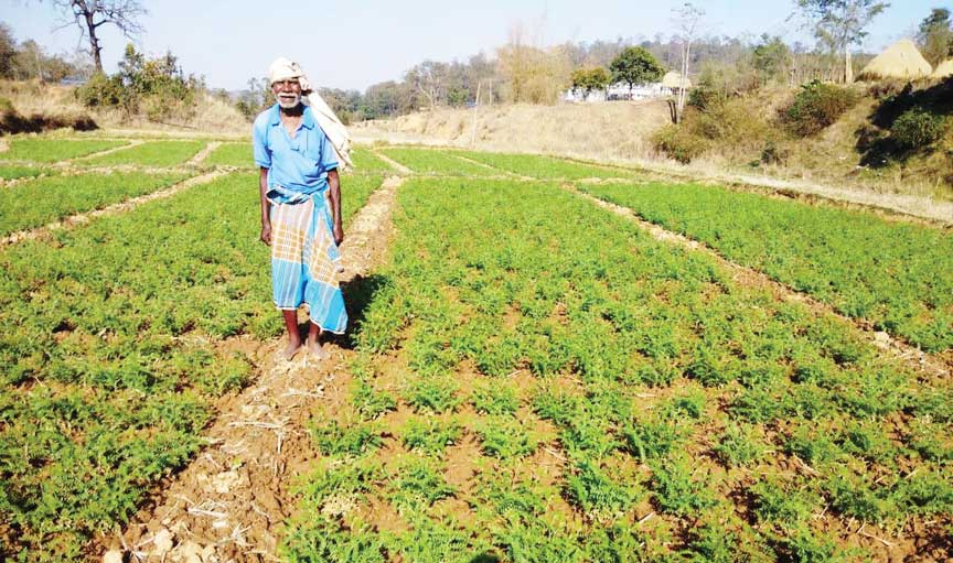  किसान न्याय योजना से खेती किसानी को मिल रहा प्रोत्साहन-जयनाथ