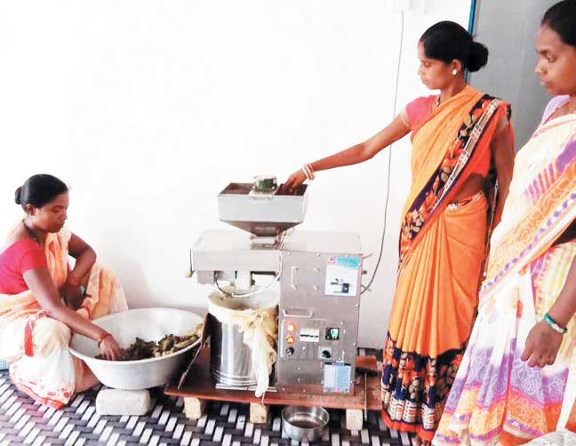 बालाछापर गौठान की सखी स्व सहायता समूह की महिलाएं तेल पेराई कर बन रही है आत्मनिर्भर