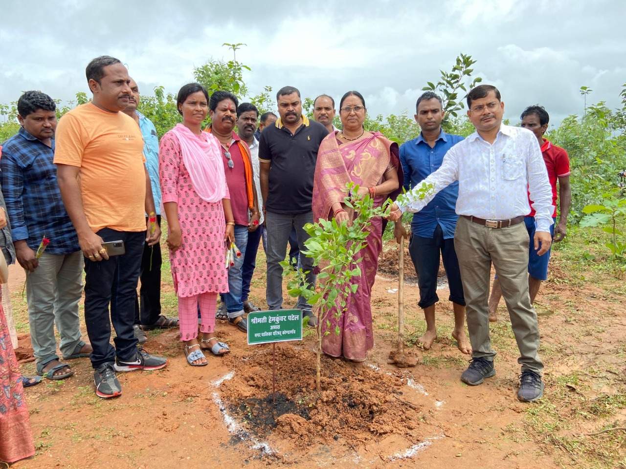 पौधे रोपकर नगर वन परियोजना हरियाली महोत्सव शुरू पौधे रोपकर नगर वन परियोजना हरियाली महोत्सव शुरू