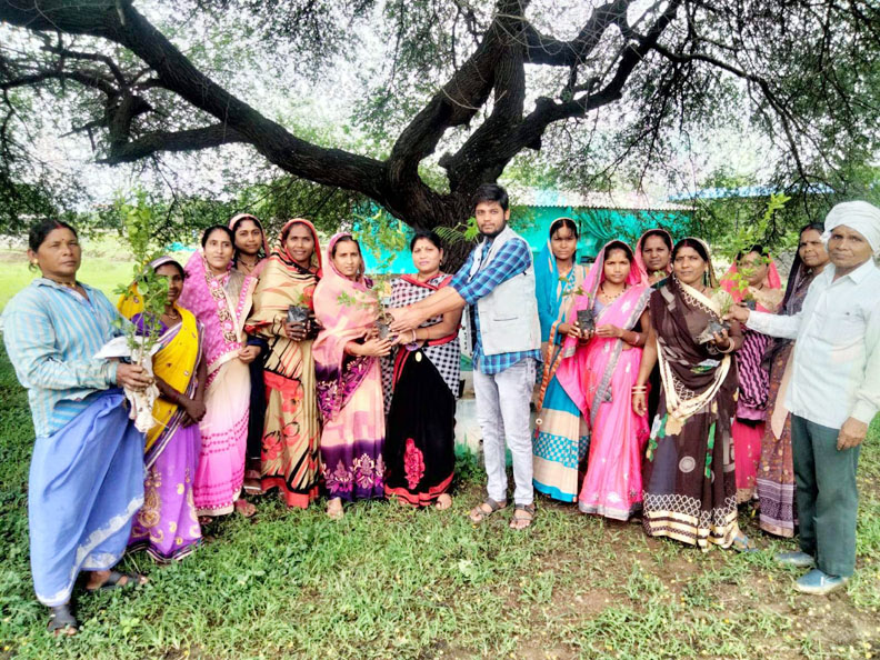 पिपरौद में हर घर हरियाली महाभियान पिपरौद में हर घर हरियाली महाभियान