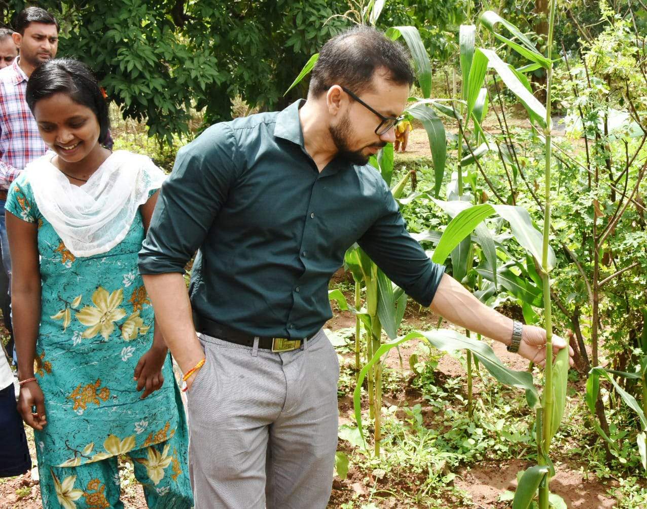 कलेक्टर ने गौठानों की देखी दशा