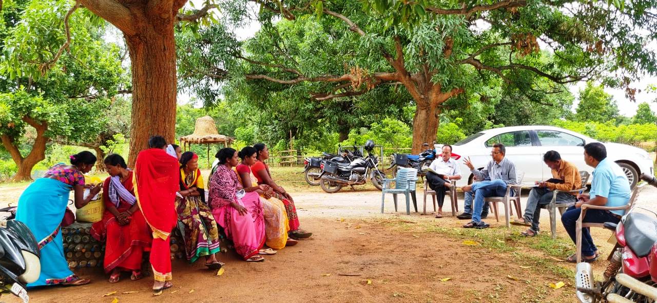 गौ-मूत्र की खरीदी हरेली त्यौहार से