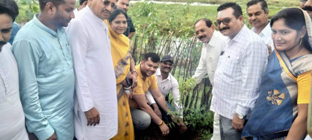 हरेली महोत्सव में साहू संघ ने दिया पर्यावरण संरक्षण का संदेश