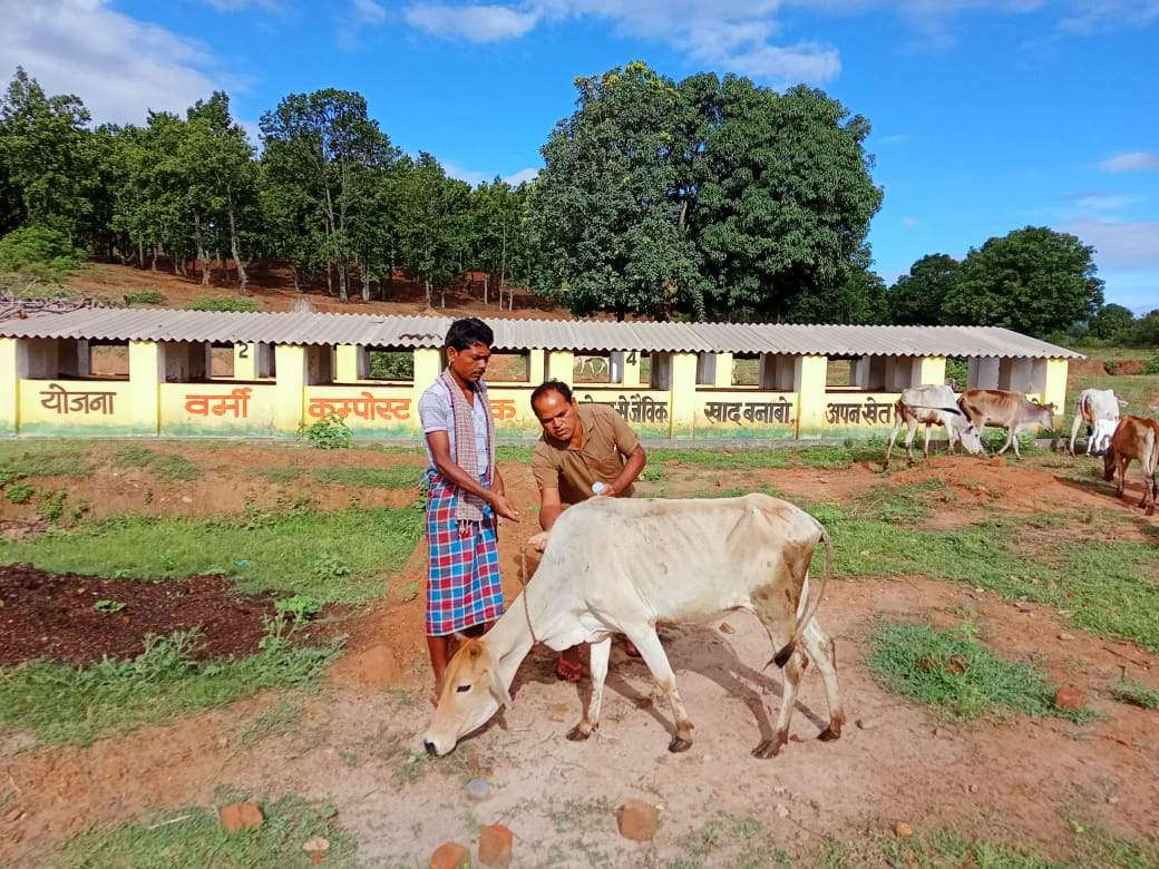 प्रकृति के प्रति आस्था व अच्छी फसल की कामना के साथ मनाया जाएगा हरेली त्यौहार