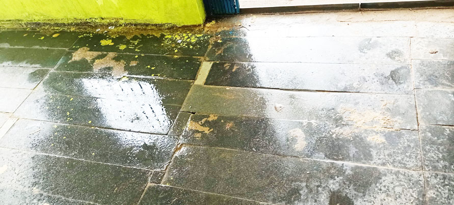 मनोरा की सरकारी भवन की छत से टपक रहा पानी