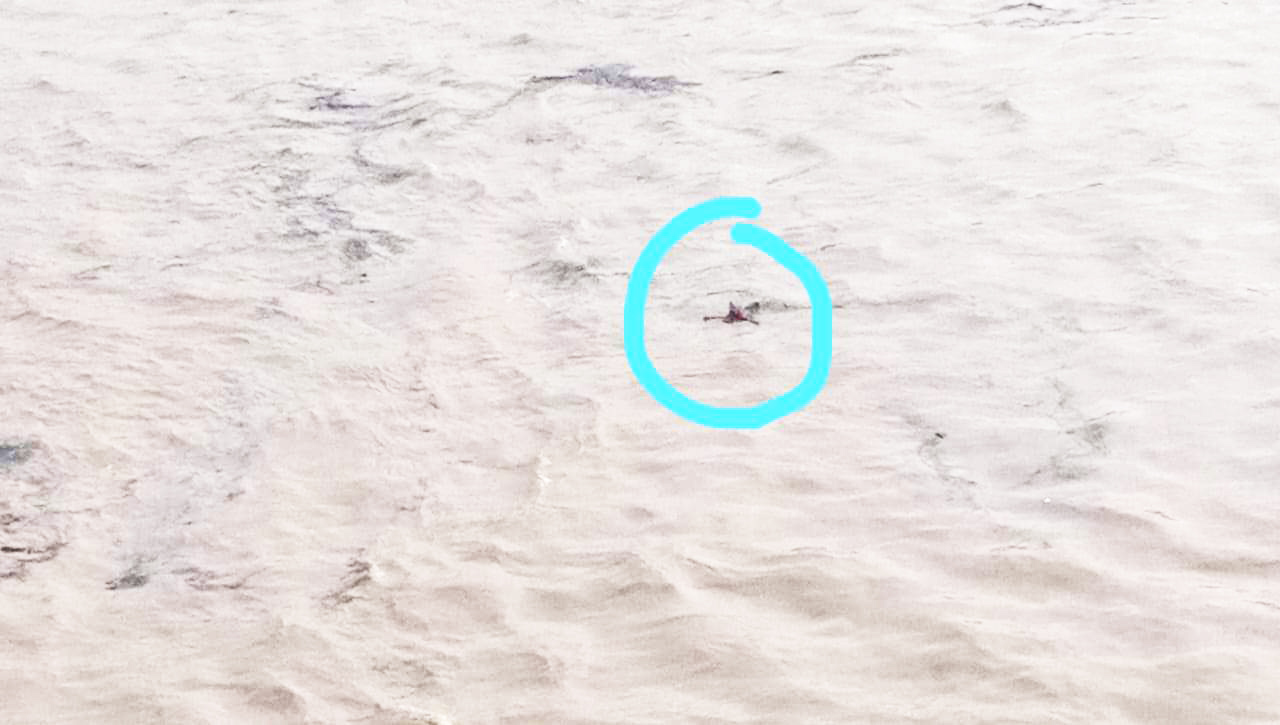 चित्रकोट जलप्रपात के नीचे मिली महिला की लाश