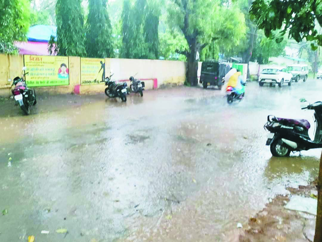 खेती पिछड़ी, किसान बारिश को मान रहे है खेतों के लिए अमृत खेती पिछड़ी, किसान बारिश को मान रहे है खेतों के लिए अमृत