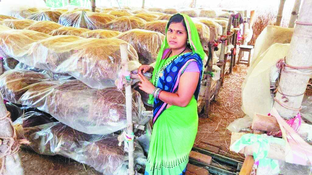 मशरुम उत्पादन ने बदली समूह की महिलाओं की जिंदगी