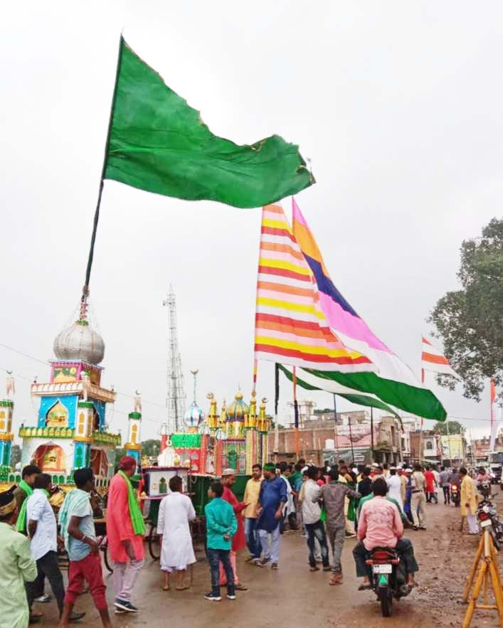 करबला में ताजियों का विसर्जन