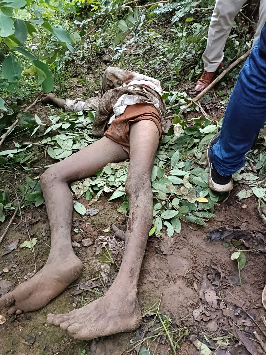 एक ही गांव के दो ग्रामीणों को हाथियों ने कुचला एक ही गांव के दो ग्रामीणों को हाथियों ने कुचला