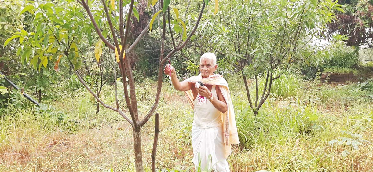 23 बरस से रक्षाबंधन पर 200 पेड़ों को रक्षा सूत्र बांधते हैं भोगीलाल  