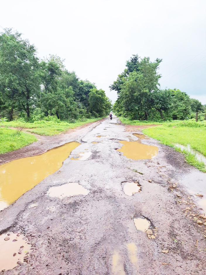 कुकरेल-बनबगौद-नरहरा मार्ग जर्जर
