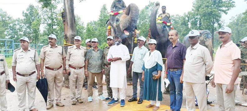 हाथियों को दूल्हे की तरह सजाकर की पूजा, खिलाया लजीज भोजन