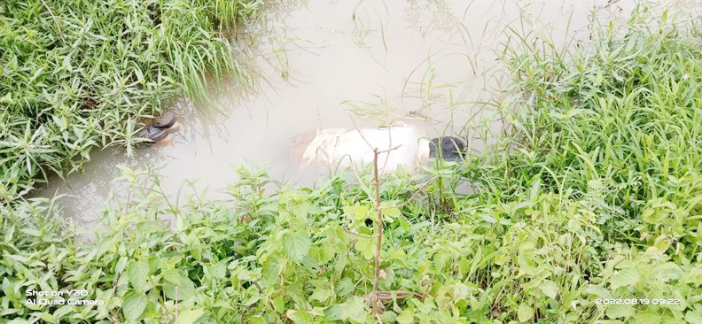 गिट्टी खदान रोड पर डबरी में मिली लाश, जांच में जुटी पुलिस