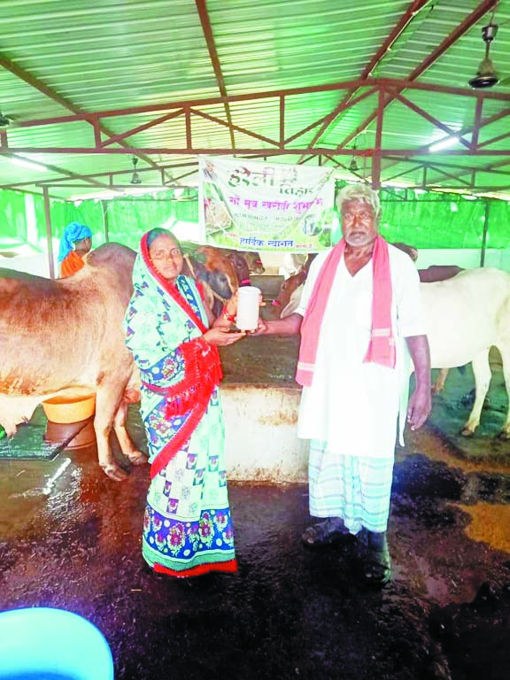  औषधीय गुणों से भरपूर है गौमूत्र-राजपूत