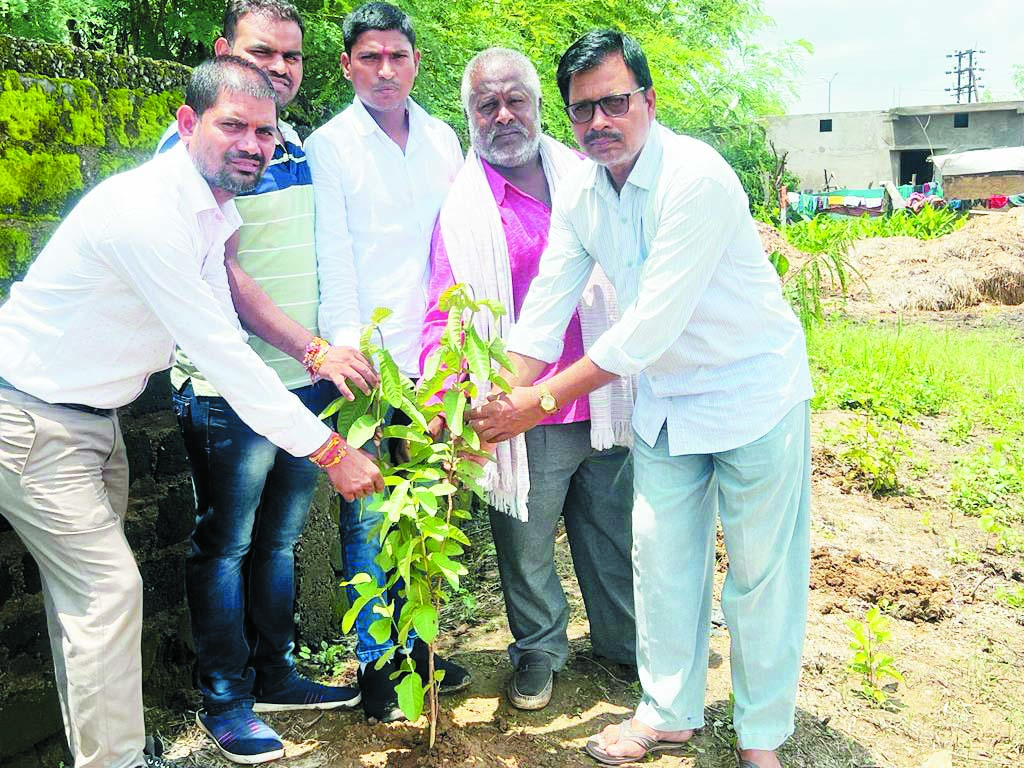 साहू समाज ने किया पौधरोपण साहू समाज ने किया पौधरोपण