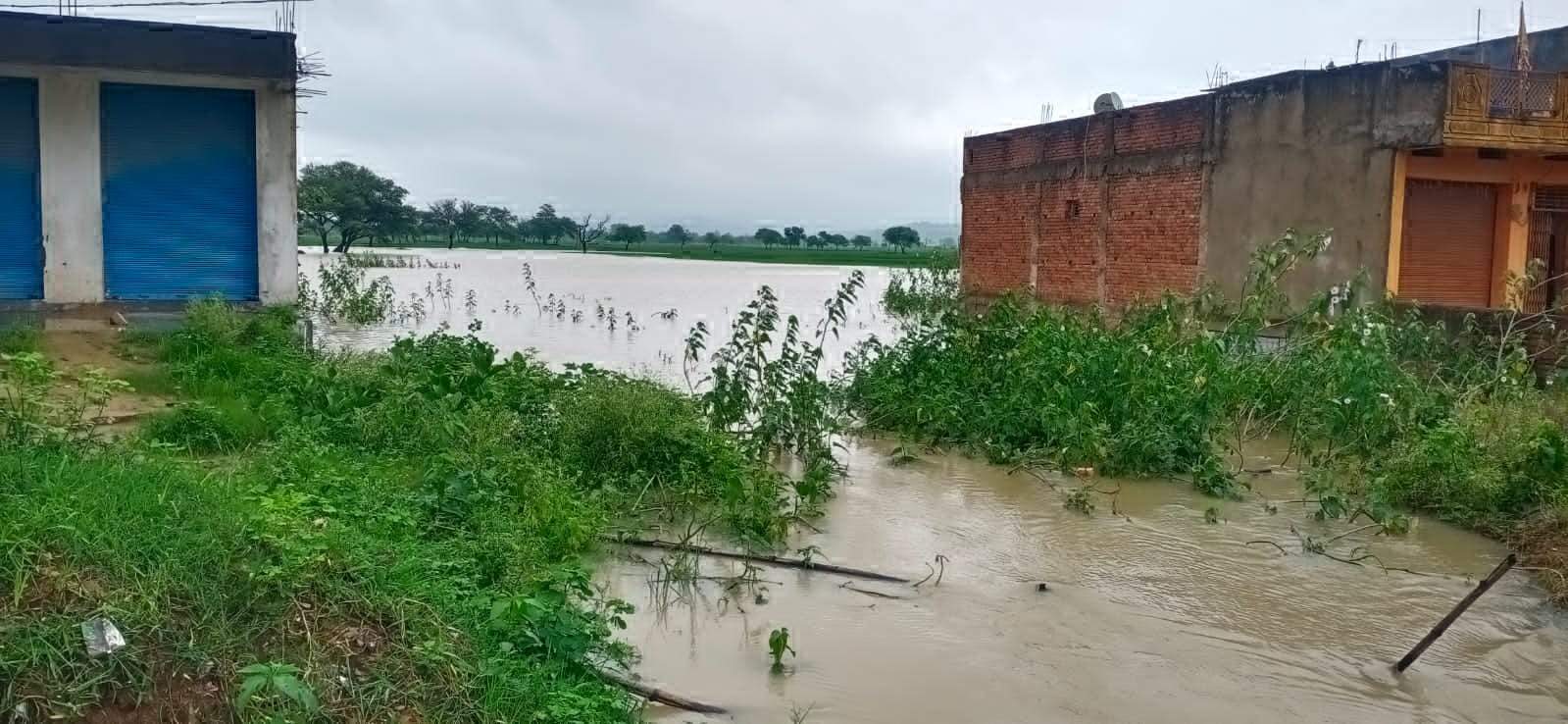 वर्षा जल बहाव का मार्ग अवरुद्ध हो जाने से नगरी क्षेत्र का बड़ा इलाका जलमग्न, कई एकड़ फसल डूबी
