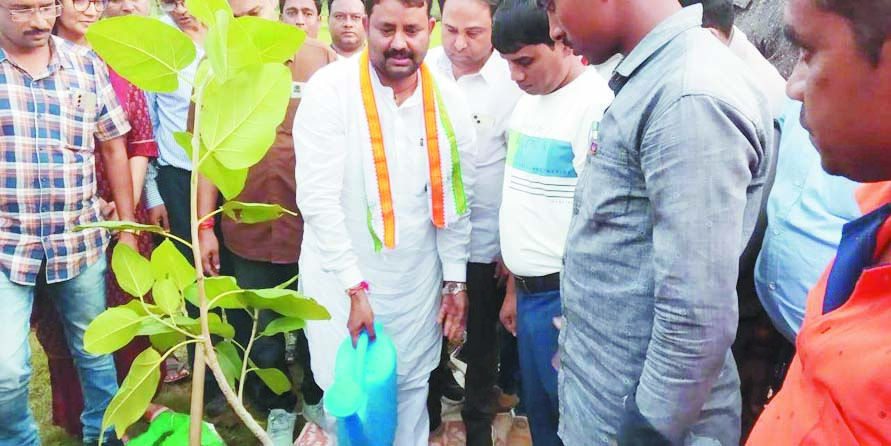 संसदीय सचिव चंद्रदेव ने किया भटगांव में कृष्ण कुंज का लोकार्पण संसदीय सचिव चंद्रदेव ने किया भटगांव में कृष्ण कुंज का लोकार्पण